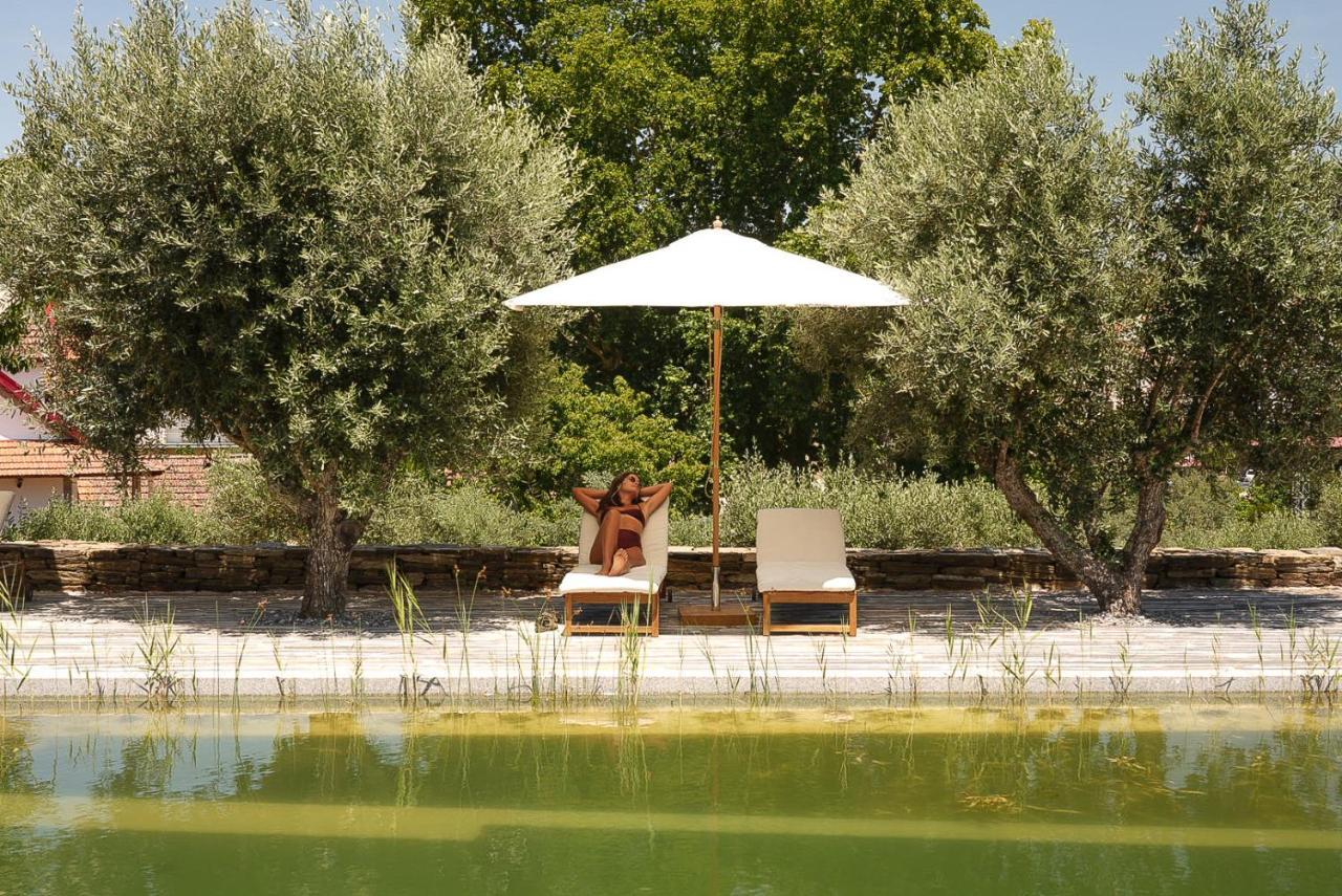 Quinta Vila Rachel - Winery Sao Mamede de Ribatua ภายนอก รูปภาพ