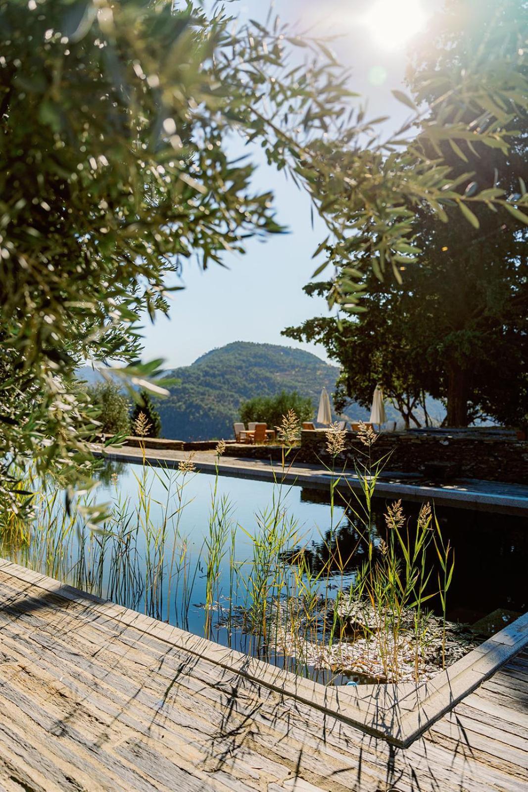Quinta Vila Rachel - Winery Sao Mamede de Ribatua ภายนอก รูปภาพ