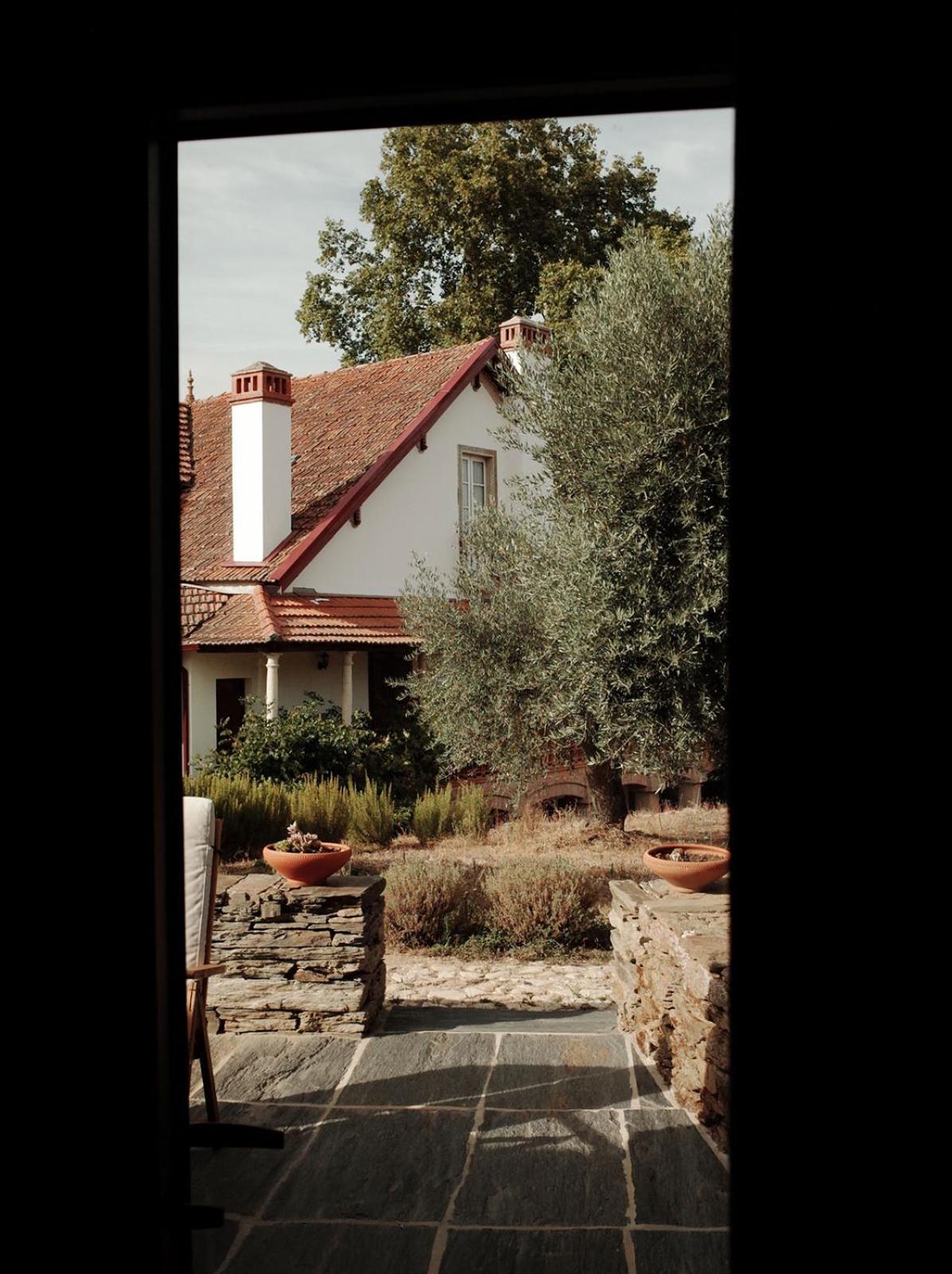 Quinta Vila Rachel - Winery Sao Mamede de Ribatua ภายนอก รูปภาพ